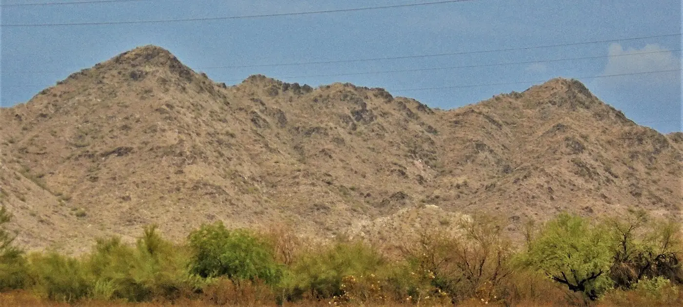 Rugged brown San Tan Mountains rising behind a line of desert scrub under a blue sky